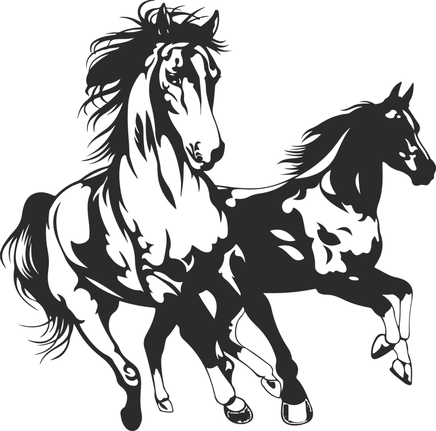 Horses Silhouette Illustration